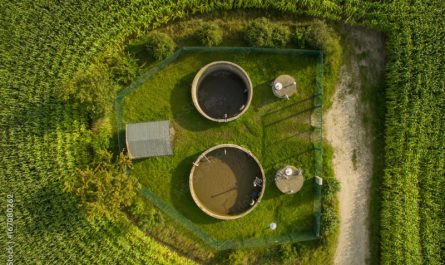 aerial view  of small sewage treatment plant betwenn corn plants fields - top view