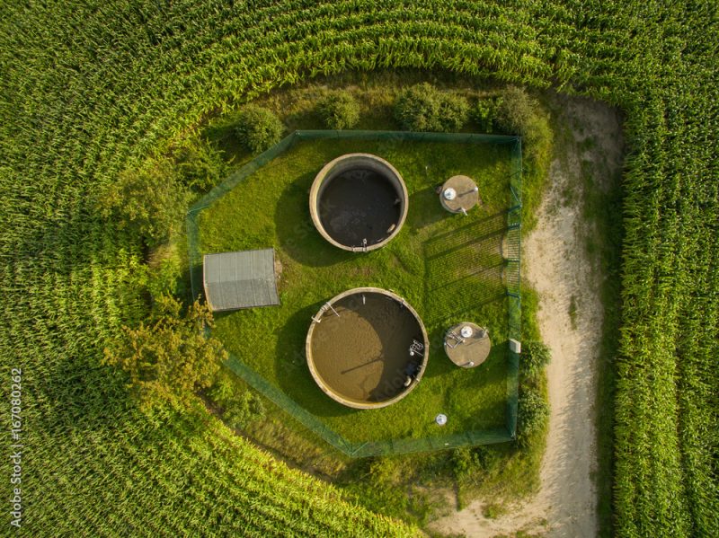 aerial view  of small sewage treatment plant betwenn corn plants fields - top view